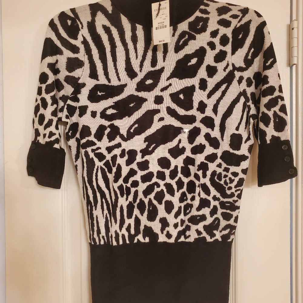 Express Sweater